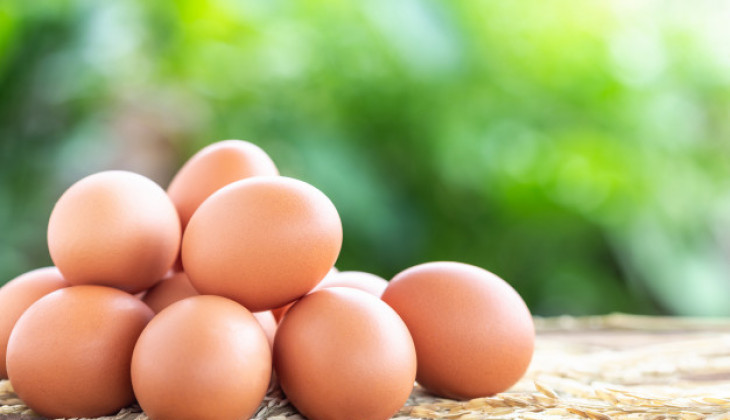 Kandungan dalam telur memiki banyak khasiat untuk kesehatan. (Foto: PMJ News/doknet)