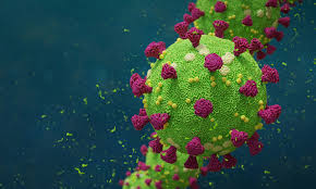 Virus N439K. (Foto: Dok Net)
