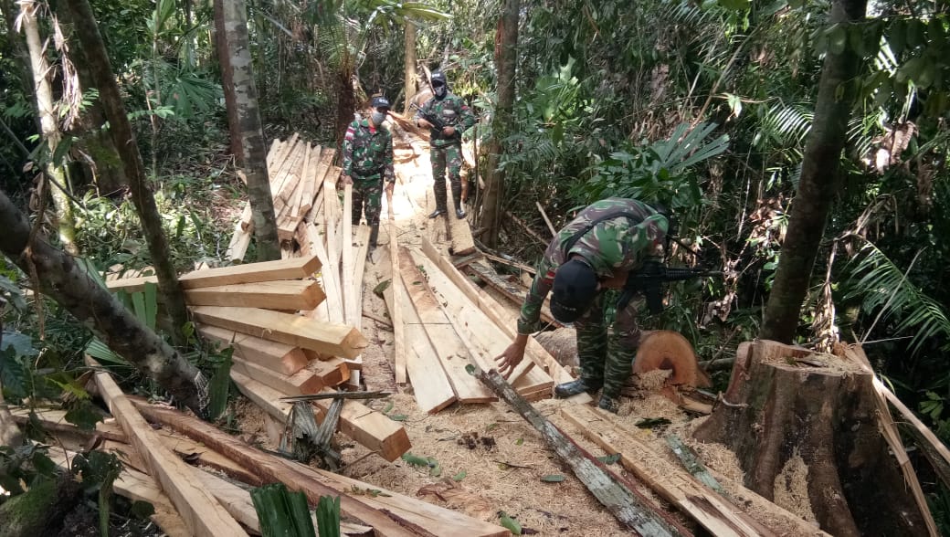 Anggota TNI tengah memeriksa penyelundupan kayu hasil ilegal logging. (Foto: PMJ News/ TNI). 