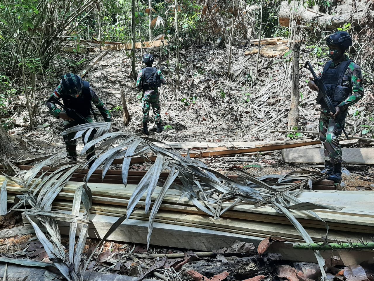 Personel TNI menemukan tumpukan kayu yang diduga merupakan hasil illegal logging. (Foto: PMJ News). 