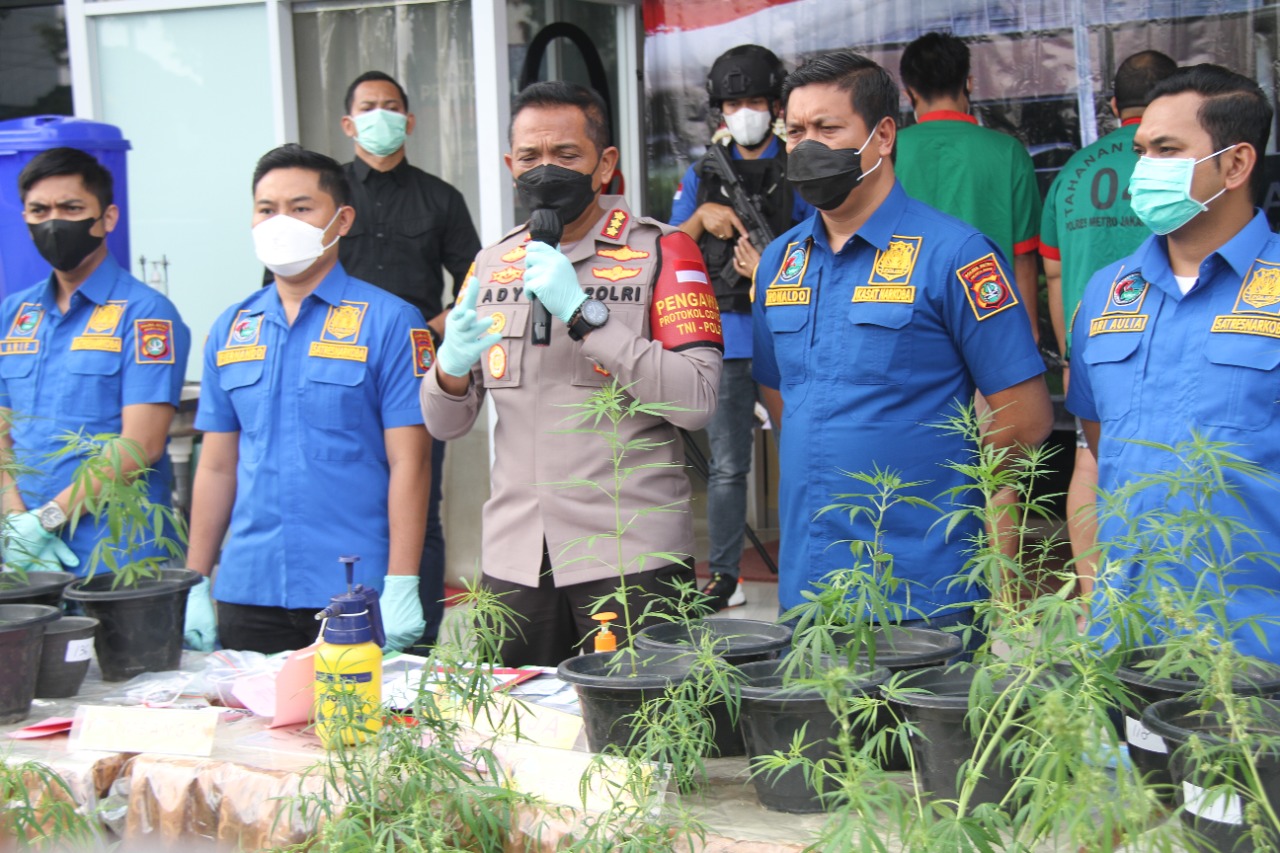 Polres Jakarta Barat bongkar kasus budidaya tanaman ganja secara hidroponik. (Foto: Dok PMJ News). 