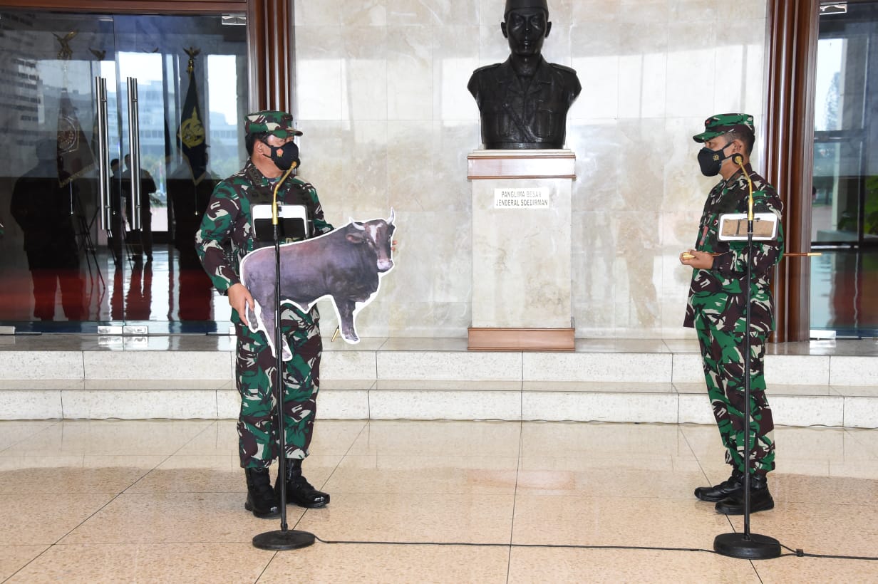 Penyerahan kurban sapi secara simbolis oleh Panglima TNI. (Foto: PMJ news). 