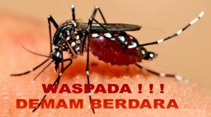 Kemenkes minta masyarakat waspada DBD. (Foto: Dok PMJ News)