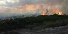 Kebakaran hutan dan lahan di Riau. (Foto: Dok Net)