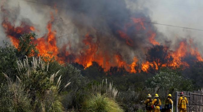 Kebakaran hutan dan lahan. (Foto: Dok Net)