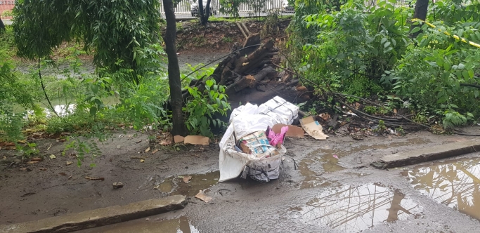 Jasad wanita dalam kardus. (Foto: Dok PMJ). 