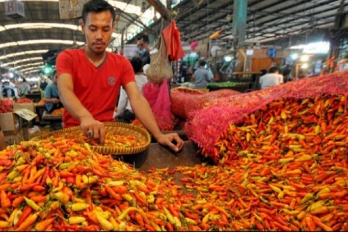 Pedagang cabai rawit merah. (Foto: Dok Net)