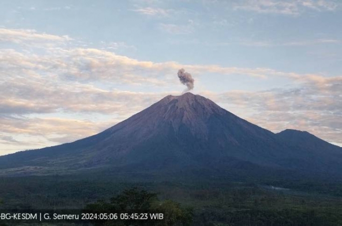 Gunung Semeru kembali erupsi. (Foto; PMJ/Dok PVMBG).