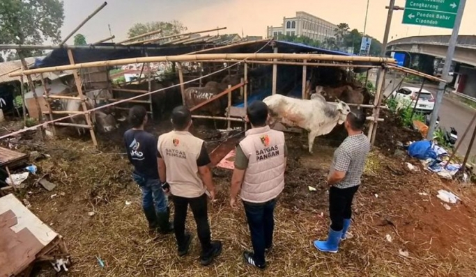 Satgas Pangan Polri melakukan monitoring di beberapa tempat penjualan hewan kurban. (Foto: PMJ News)