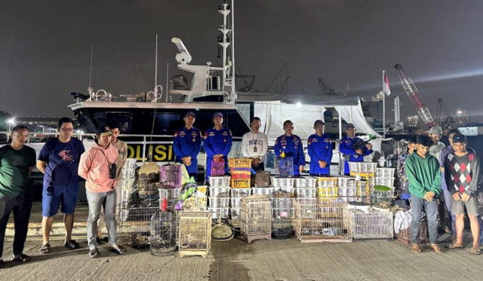 Ditpolairud Baharkam Polri menggagalkan penyelundupan satwa dilindungi di wilayah Perairan Sunda Kelapa, Jakarta