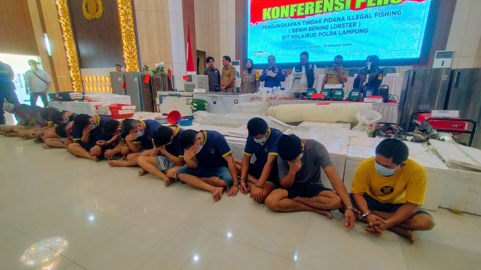 Ditpolairud Polda Lampung sukses ungkap penyelundupan benih bening lobster (BBL) atau baby lobster. (Foto: PMJ/Ist).
