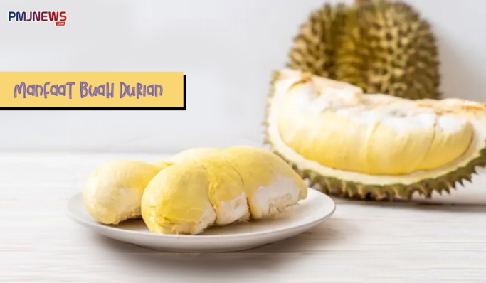 Manfaan konsumsi durian bagi kesehatan. (Foto: Kolase PMJ News)