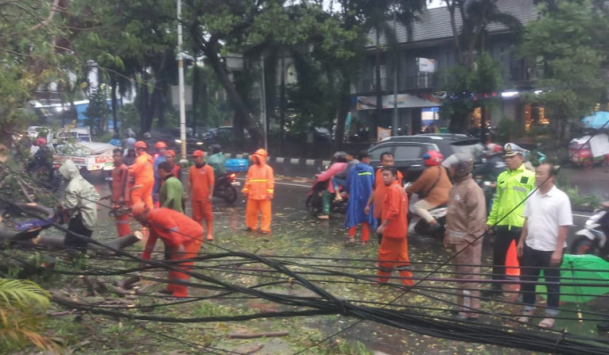 Polisi gerak cepat tangani pohon berukuran besar tumbang di Jalan Raya Joglo, Jakarta Barat. (Foto: PMJ News)