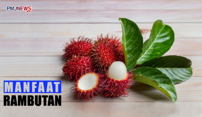 Buah Rambutan ternyata memiliki manfaat bagi kesehatan. (Foto: Kolase PMJ News)