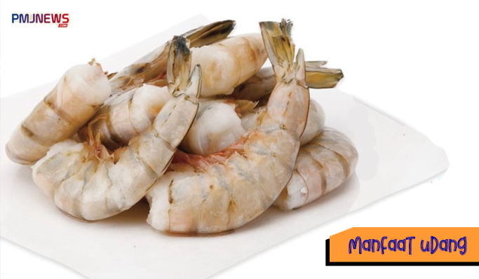 Udang mengandung protein yang tinggi yang baik untuk kesehatan. (Foto: Kolase PMJ News)